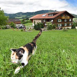 Bed and Breakfast Familienbauernhof Koess Schertler Эгг Exterior photo