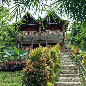 Hotel Orangutan Букит-Лаванг Exterior photo