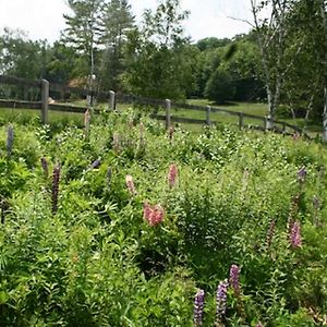 Вилла Chester Farmhouse On 100 Acres, 15 Min To Okemo! Exterior photo