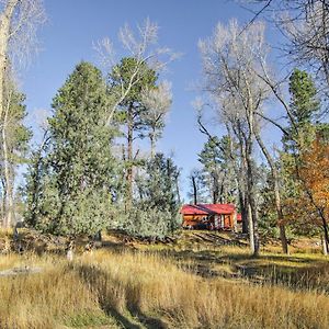 Cozy Colorado Cabin With Deck, Grill And River Access! Буэна-Виста Exterior photo
