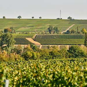 Отель Weingasthaus Wisser Billigheim-Ingenheim Exterior photo