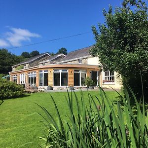 Llanerchindda Farm Guest House Cynghordy Exterior photo