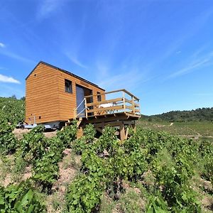 Отель Tiny House Au Coeur Du Vignoble Beaujolais Флёри Exterior photo