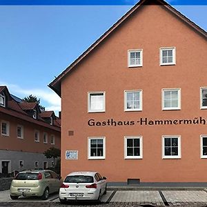 Landgasthof-Hotel Hammermuhle Донауштауф Exterior photo