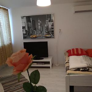 Apartament Jasny Noclegi Плоцк Exterior photo