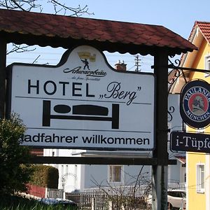Hotel Berg Hochstadt an der Donau Exterior photo