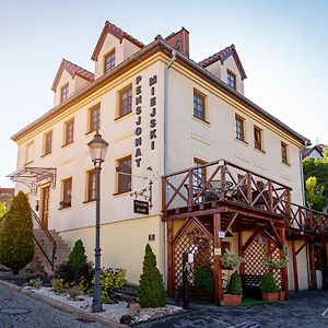 Bed and Breakfast Pensjonat Miejski Згожелец Exterior photo