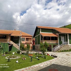 Guest House Vila Banjica Пирот Exterior photo