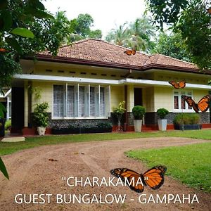 Charakama Guest Bungalow - Гампаха Exterior photo